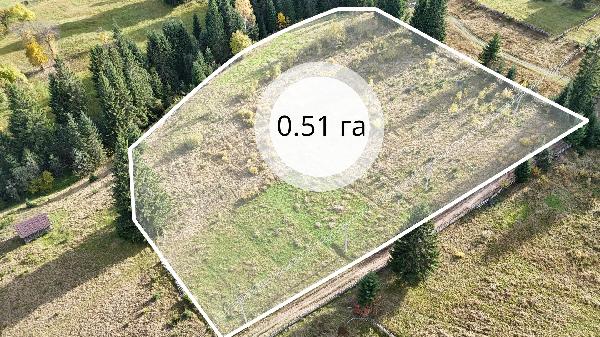  - фото нерухомості